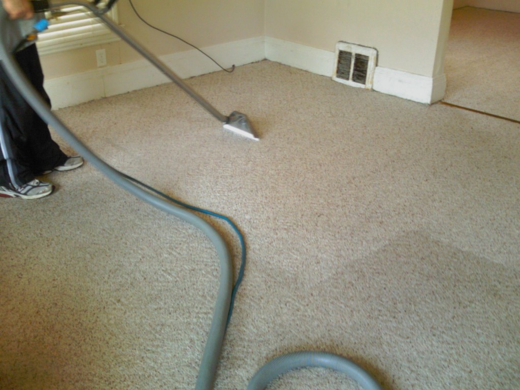 carpet-cleaning-march31-100-1024x768