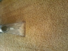 carpet-cleaning-march31-014