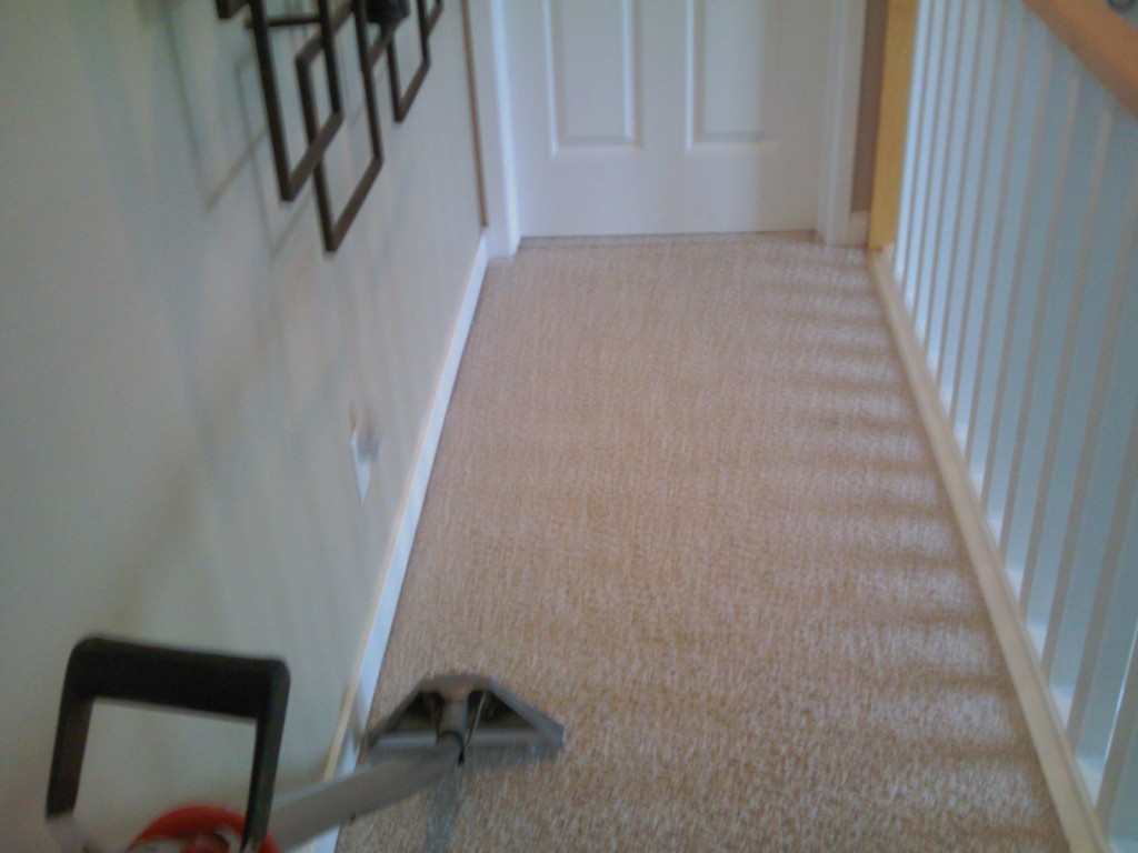 links,carpet cleaning grand rapids mi. carpet cleaning grand rapids,